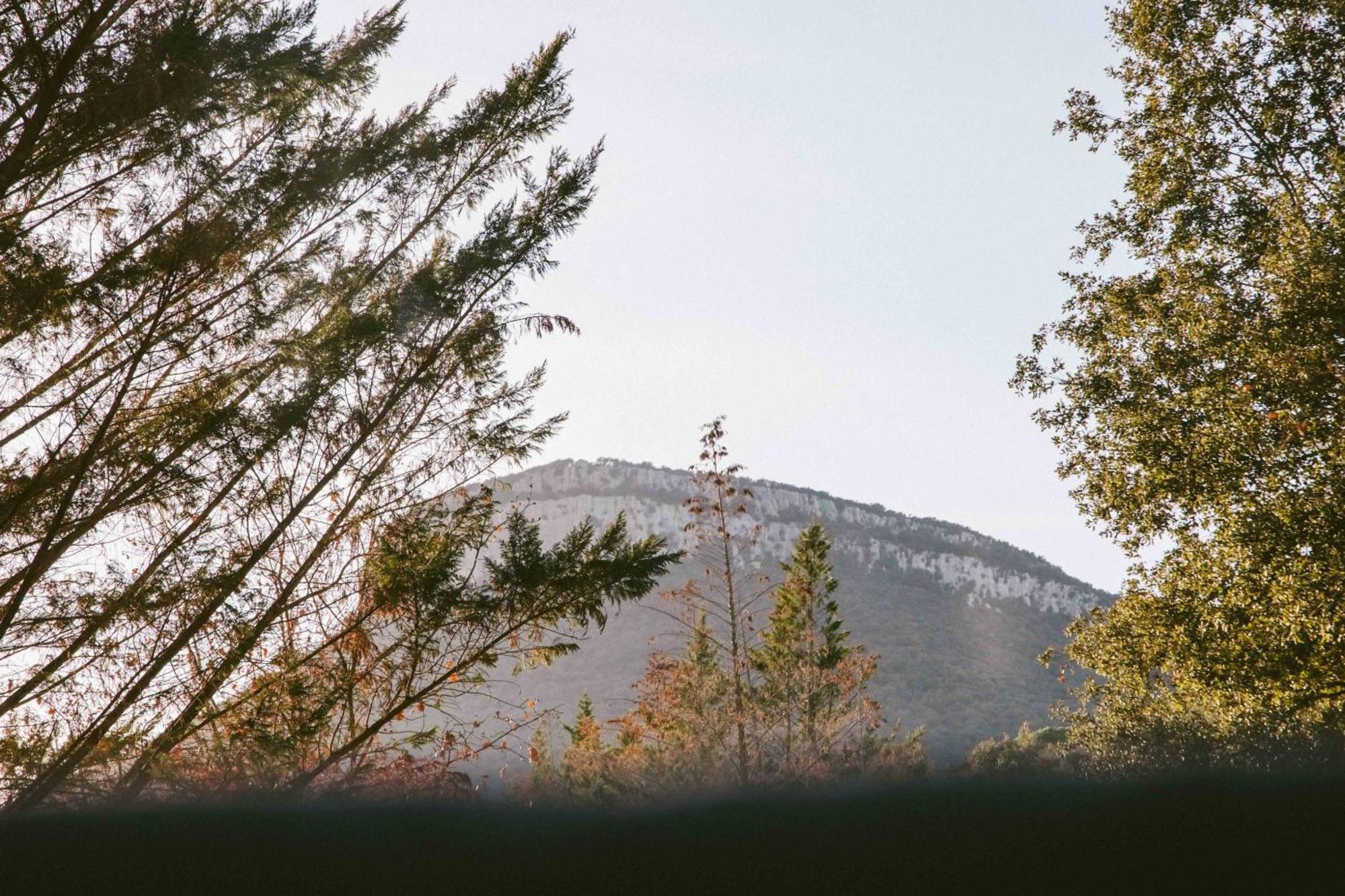 Caseta Wald By Tiny Away Holiday home *